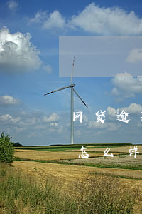 网贷逾期两个月对征信(网贷逾期一两个月会怎么样)