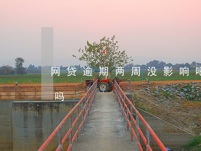 网贷逾期两周没影响吧(网贷迟还两天算逾期吗)