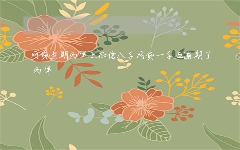 网贷逾期两年上征信八千(网贷一千五逾期了两年)