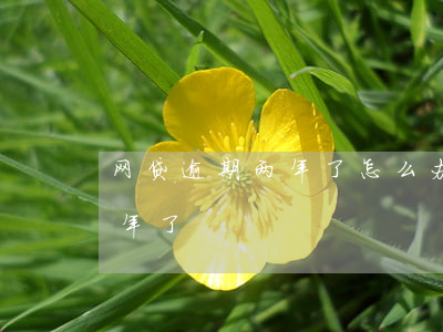 网贷逾期两年了怎么办(网贷逾期很久了两三年了)