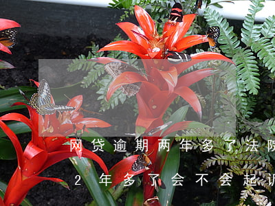 网贷逾期两年多了法院可以起诉吗(网贷逾期2年多了会不会起诉)