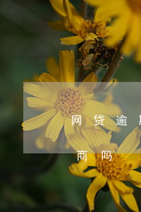 网贷逾期两年想协商(网贷逾期了两年,可以协商吗)