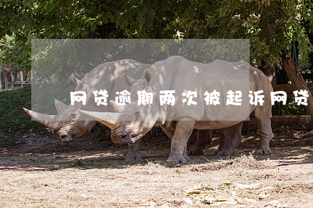 网贷逾期两次被起诉(网贷逾期了被起诉)