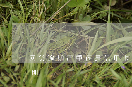 网贷逾期严重还是信用卡(网贷和信用卡都逾期)