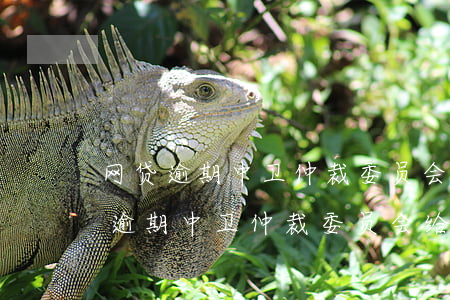 网贷逾期中卫仲裁委员会给我打电话-网贷逾期中卫仲裁委员会给我打电话是真的吗