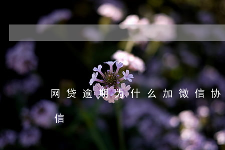 网贷逾期为什么加微信协商 网贷逾期被加微信