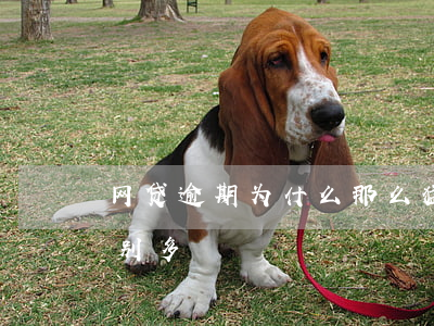 网贷逾期为什么那么猛(今年网贷逾期的人特别多)