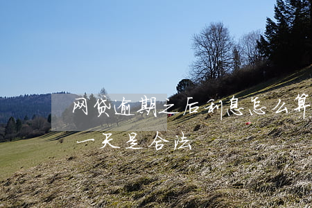 网贷逾期之后利息怎么算(网贷逾期利息多少一天是合法)
