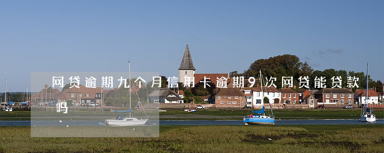 网贷逾期九个月（信用卡逾期9次网贷能贷款吗）