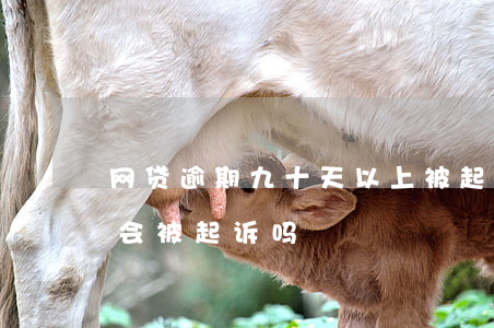 网贷逾期九十天以上被起诉 网贷逾期十几天会被起诉吗