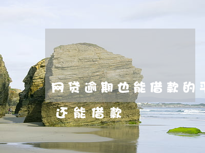 网贷逾期也能借款的平台(网贷逾期哪个平台还能借款)