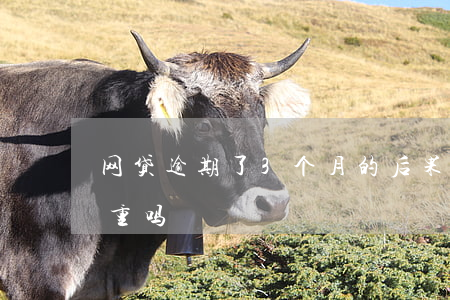 网贷逾期了3个月的后果(网贷逾期两三天严重吗)
