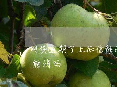 网贷逾期了上征信能消吗(网贷逾期了上征信能消吗)