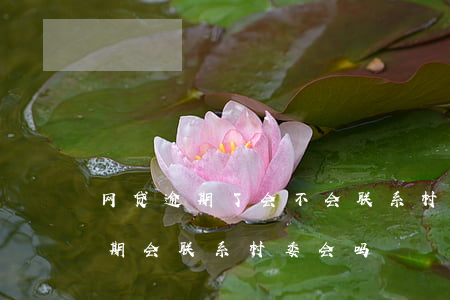 网贷逾期了会不会联系村委会上门-网贷逾期会联系村委会吗