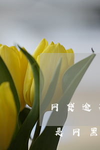 网贷逾期了会变黑户吗(网贷逾期后来还了还是网黑吗)