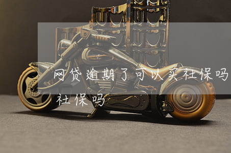 网贷逾期了可以买社保吗(网贷逾期了可以买社保吗)