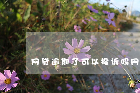 网贷逾期了可以投诉吗(网贷有逾期)