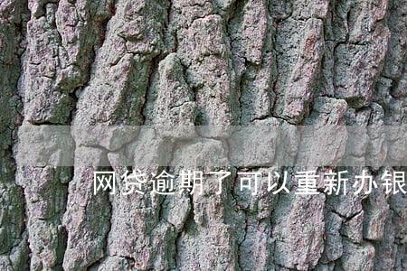 网贷逾期了可以重新办银行卡吗