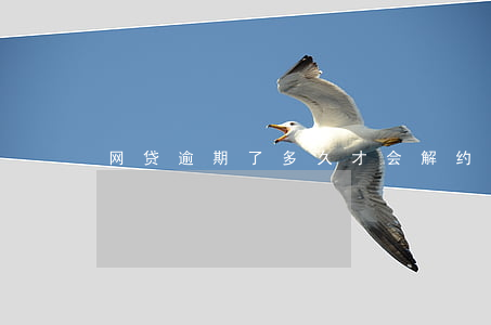 网贷逾期了多久才会解约(网贷能逾期多久)