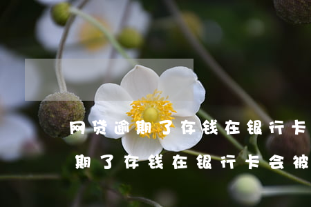 网贷逾期了存钱在银行卡会被扣吗-网贷逾期了存钱在银行卡会被扣吗安全吗