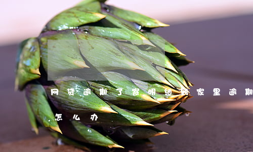 网贷逾期了寄明细到家里(逾期往家里寄信件怎么办)