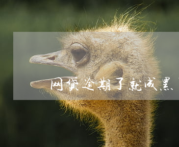 网贷逾期了就成黑了吗(网贷逾期会黑名单吗)