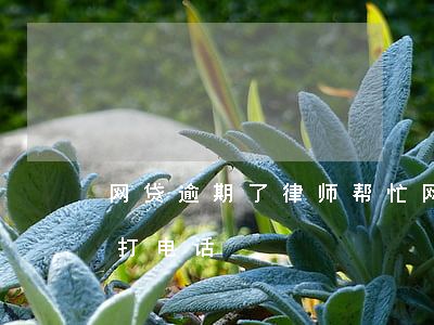 网贷逾期了律师帮忙 网贷逾期有律师事务所打电话