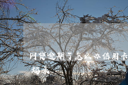 网贷逾期了怎么办信用卡（信用卡网贷逾期躲起来）