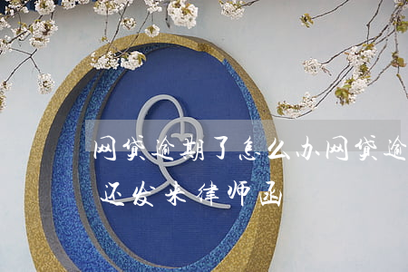 网贷逾期了怎么办(网贷逾期了怎么办又没钱还发来律师函)