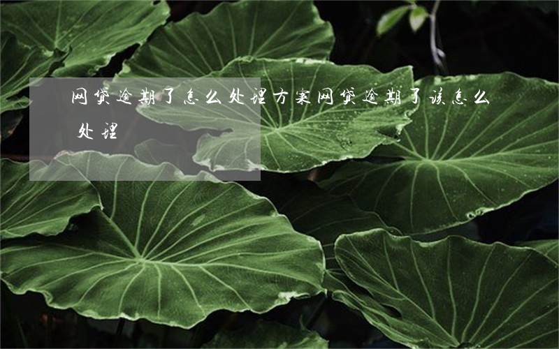 网贷逾期了怎么处理方案(网贷逾期了该怎么处理)