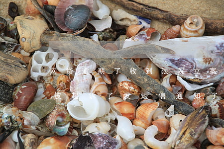 网贷逾期了收到法院立案短信通知(网贷逾期被起诉了,发短信通知了)