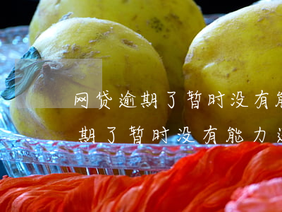 网贷逾期了暂时没有能力还怎么办-网贷逾期了暂时没有能力还怎么办呢