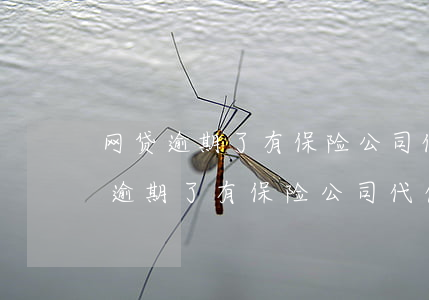 网贷逾期了有保险公司代偿会怎么样-网贷逾期了有保险公司代偿会怎么样吗