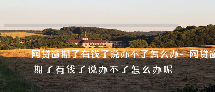 网贷逾期了有钱了说办不了怎么办-网贷逾期了有钱了说办不了怎么办呢