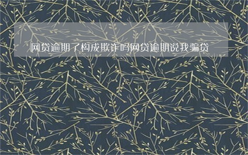 网贷逾期了构成欺诈吗(网贷逾期说我骗贷)