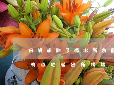 网贷逾期了派出所会查啊(网贷逾期为什么会有当地派出所找我)