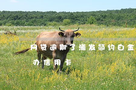 网贷逾期了浦发简约白金卡信用卡(网贷逾期办信用卡)