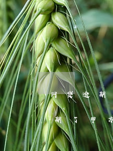 网贷逾期了甲方有权利冻结账户吗-网贷逾期了甲方有权利冻结账户吗怎么办