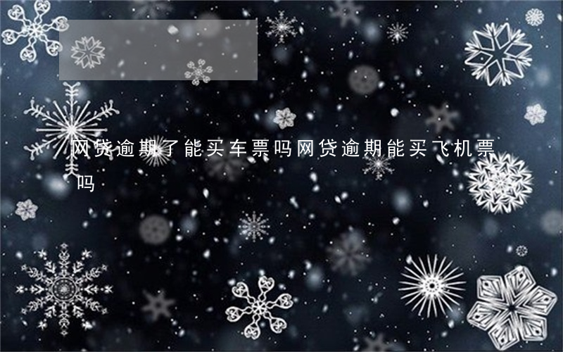 网贷逾期了能买车票吗(网贷逾期能买飞机票吗)