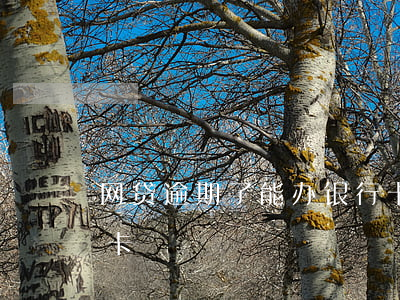 网贷逾期了能办银行卡(网贷逾期了能办银行卡)