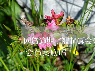 网贷逾期了被起诉会有案底吗(欠网贷被起诉会有案底吗)
