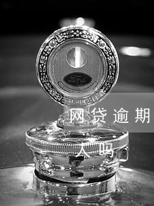 网贷逾期了警察会抓人么(欠网贷公安局会抓人吗)