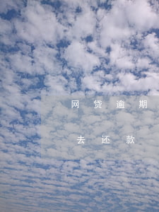 网贷逾期了该怎么去还款(网贷逾期了该怎么去还款)