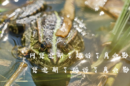网贷逾期了起诉了真会影响孩子上学吗-网贷逾期了起诉了真会影响孩子上学吗知乎