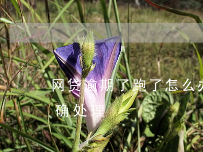 网贷逾期了跑了怎么办(网贷都逾期了怎么正确处理)