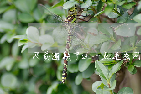 网贷逾期了还一点进去(网贷逾期还款)
