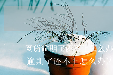 网贷逾期了还不上怎么办2020年-网贷逾期了还不上怎么办2020年