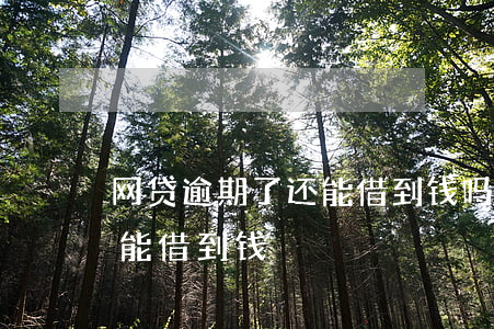 网贷逾期了还能借到钱吗(网贷逾期了哪里还能借到钱)