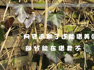 网贷逾期了还能借美团(美团逾期3天还了一部分 能在借款不)