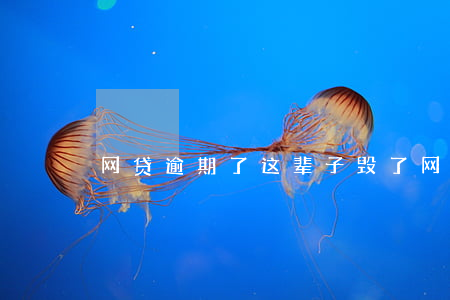 网贷逾期了这辈子毁了(网贷逾期一年了)